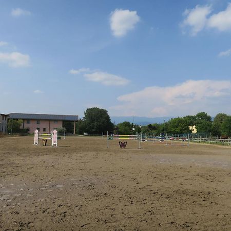 Holiday Home Domus Magna-3 By Interhome Povoletto Kültér fotó