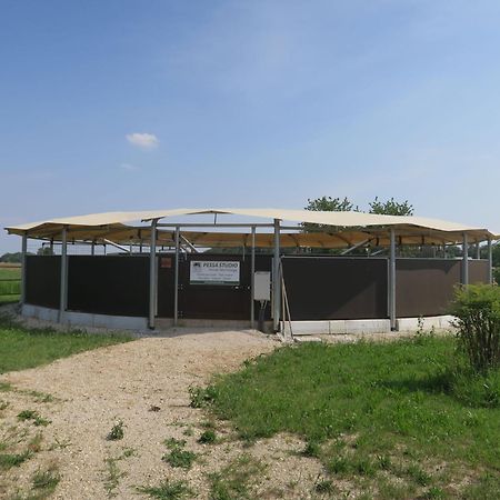 Holiday Home Domus Magna-3 By Interhome Povoletto Kültér fotó